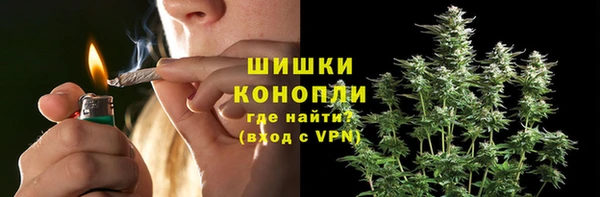 кокс Белокуриха