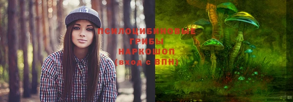 кокс Белокуриха